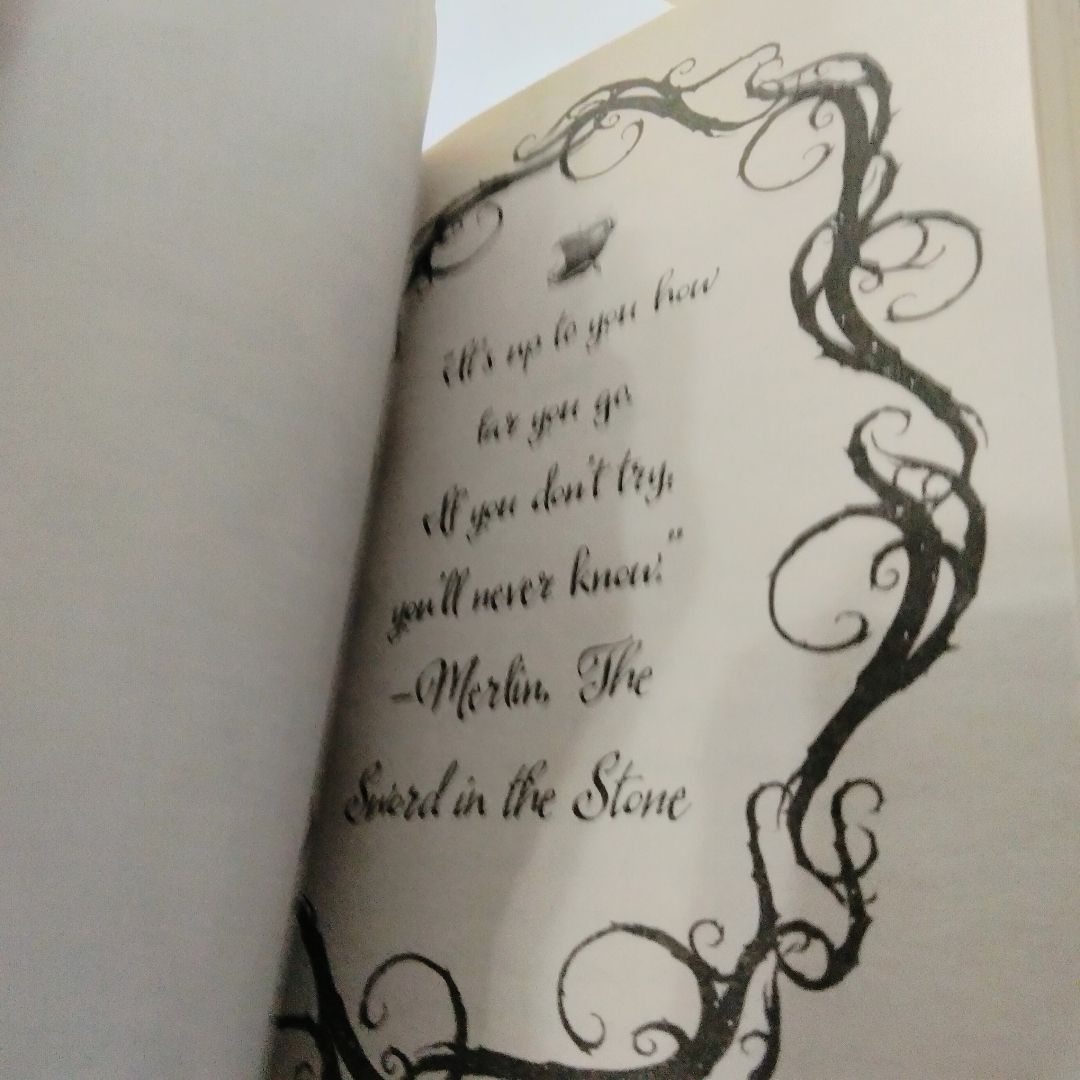 Return to the Isle of the Lost