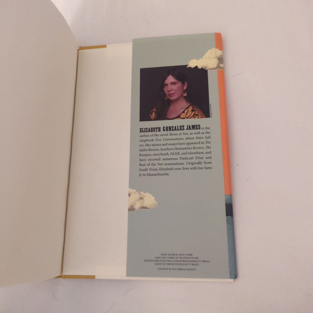 The Bullet Swallower