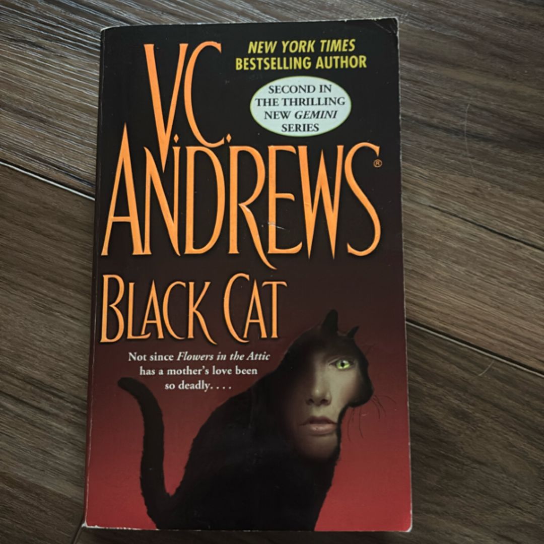 Black Cat