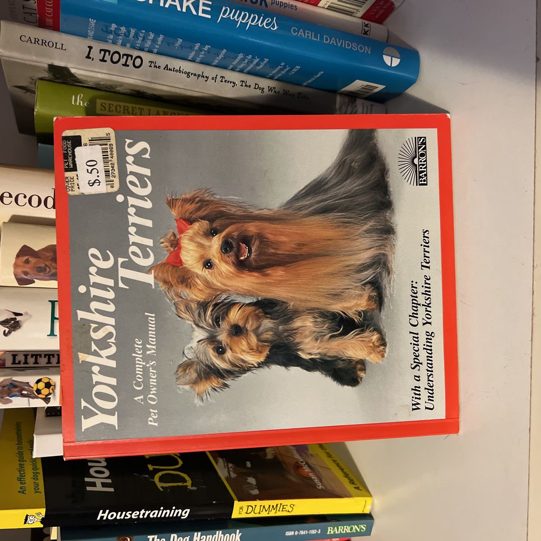 yorkshire terriors