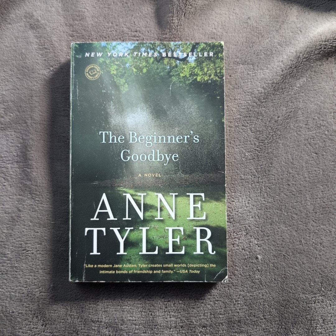 The Beginner's Goodbye