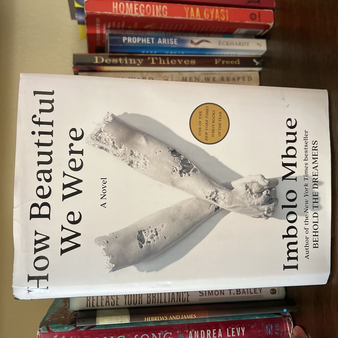 How Beautiful We Were