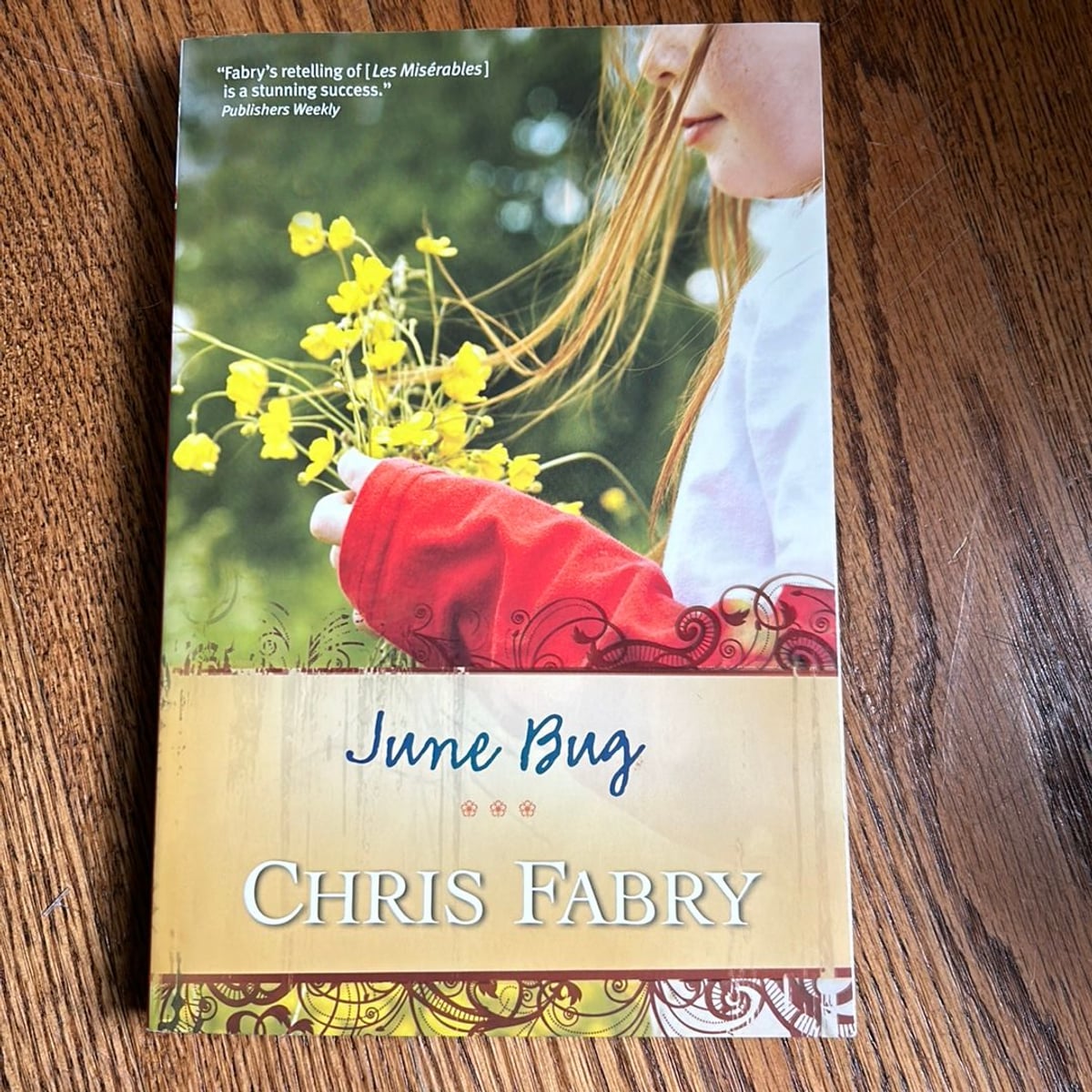 June Bug by Chris Fabry