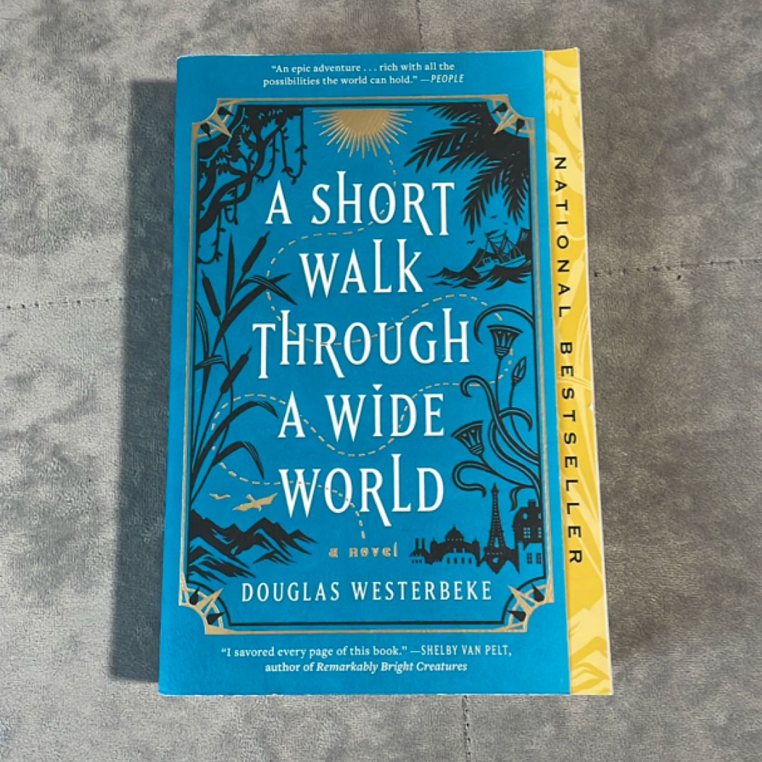 A Short Walk Through a Wide World