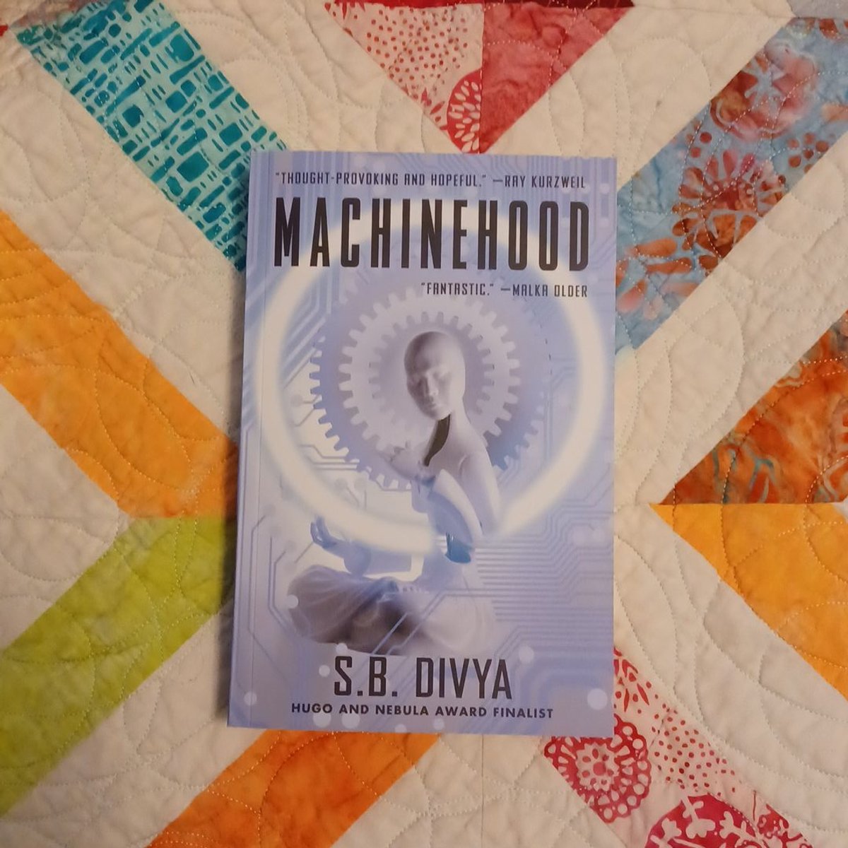Machinehood by S. B. Divya
