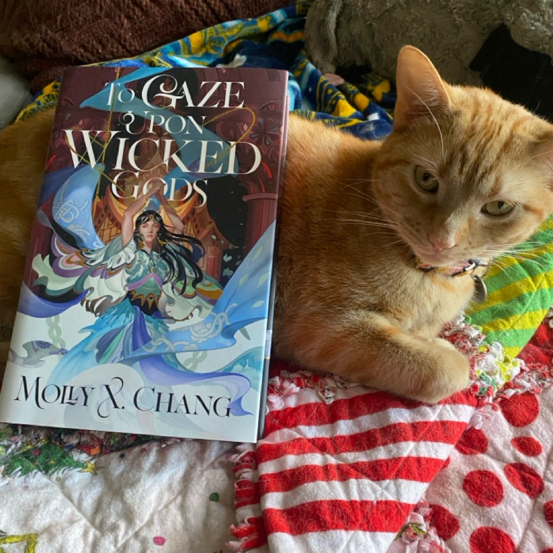 To Gaze Upon Wicked Gods