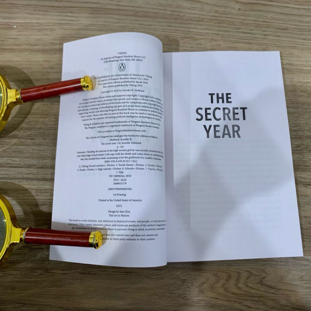 The Secret Year
