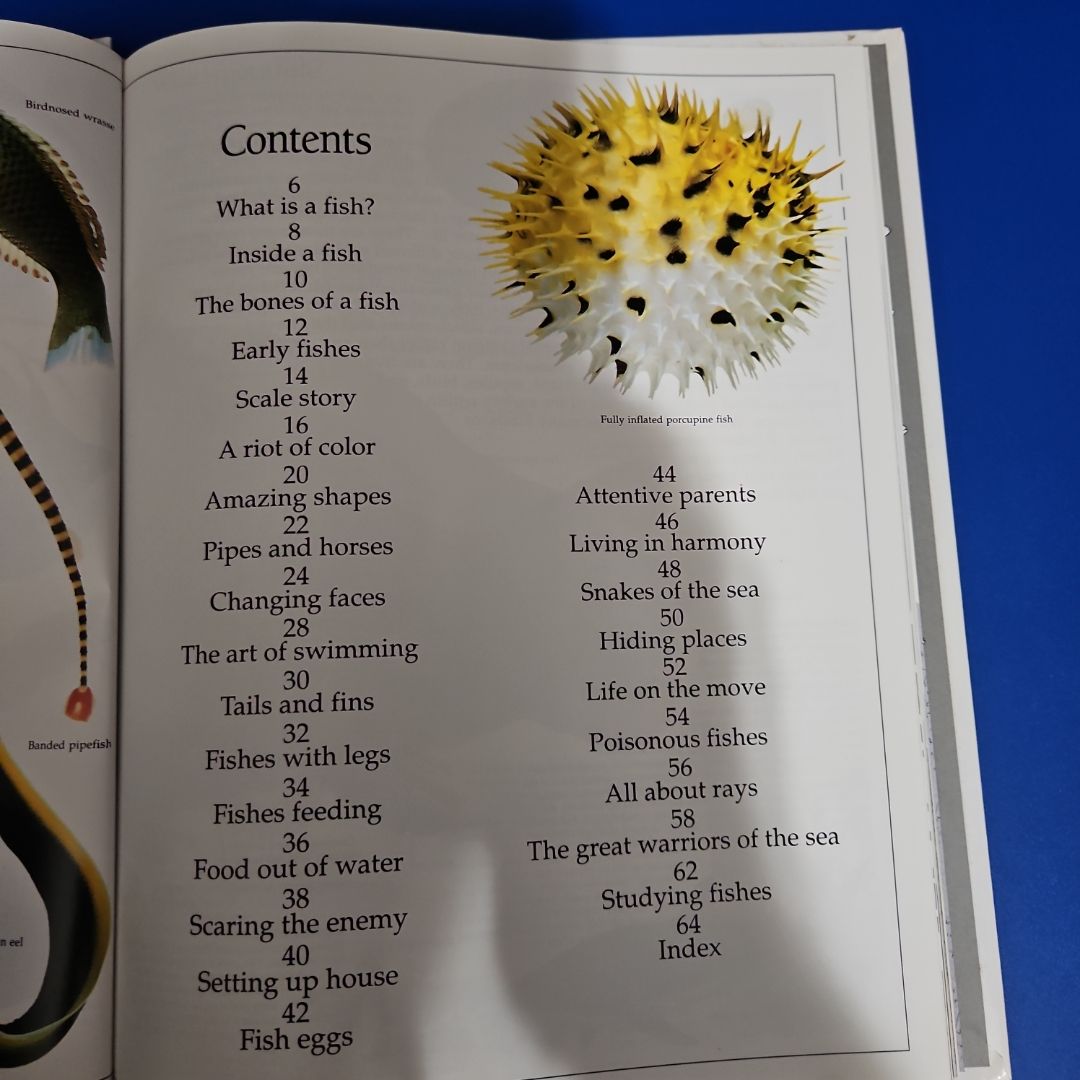 DK Eyewitness Books: Fish