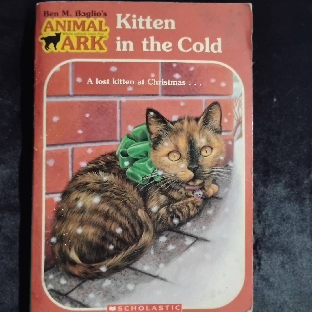 Kitten in the Cold
