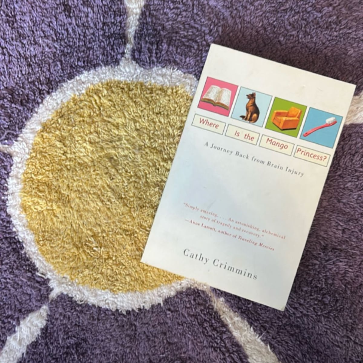Where Is the Mango Princess? by Cathy Crimmins