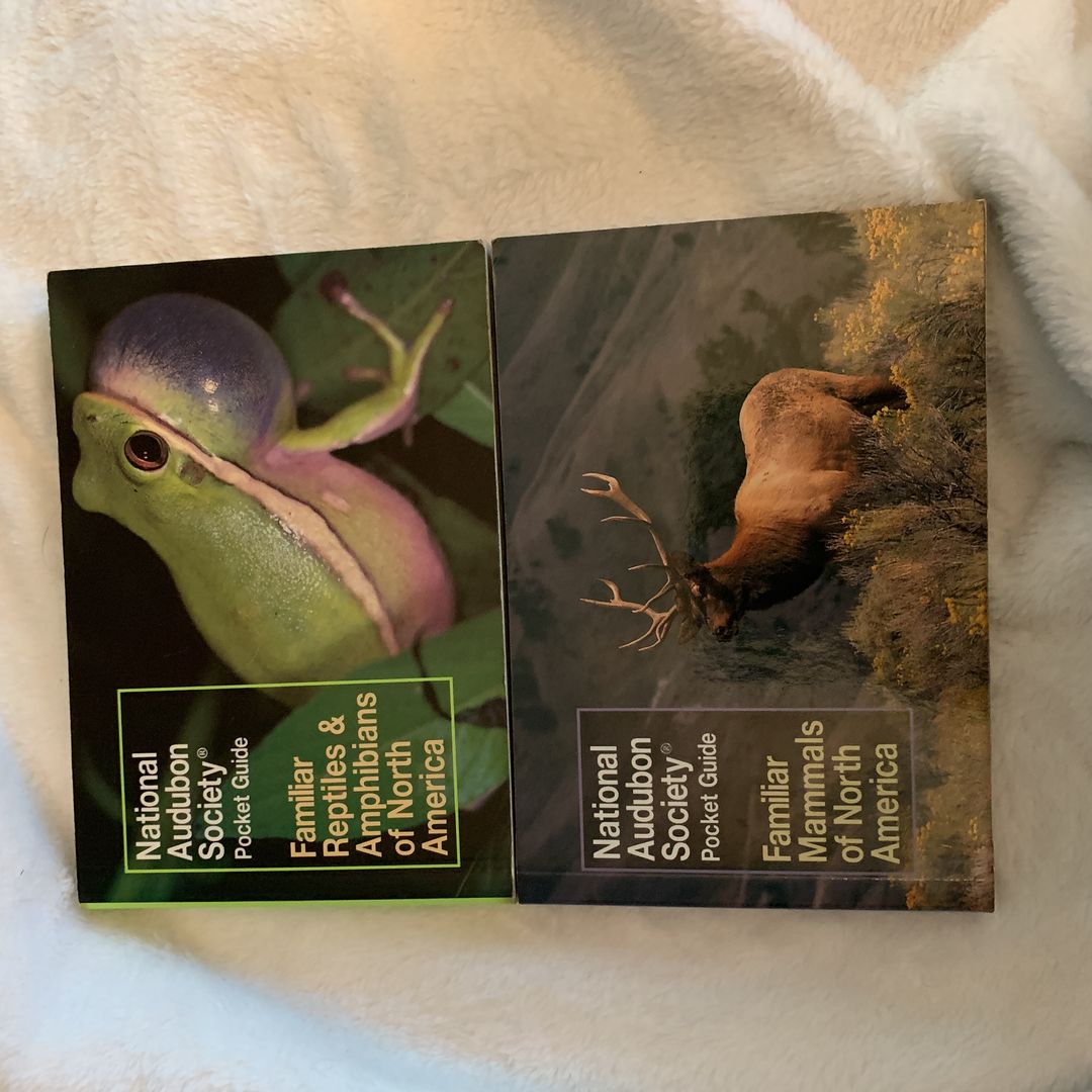 National Audubon Society Pocket Guide to Familiar Mammals