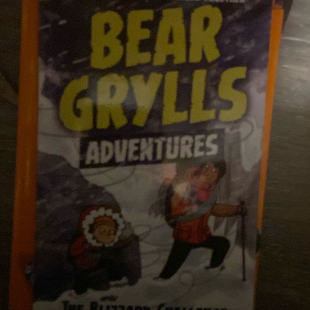 A Bear Grylls Adventure 1: Blizzard Challenge