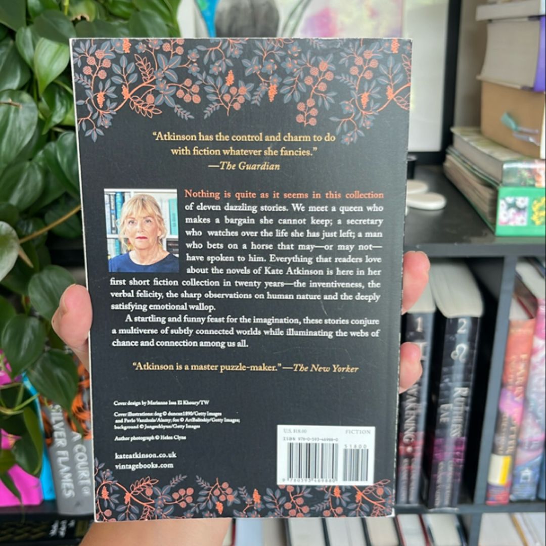 Normal Rules Don't Apply