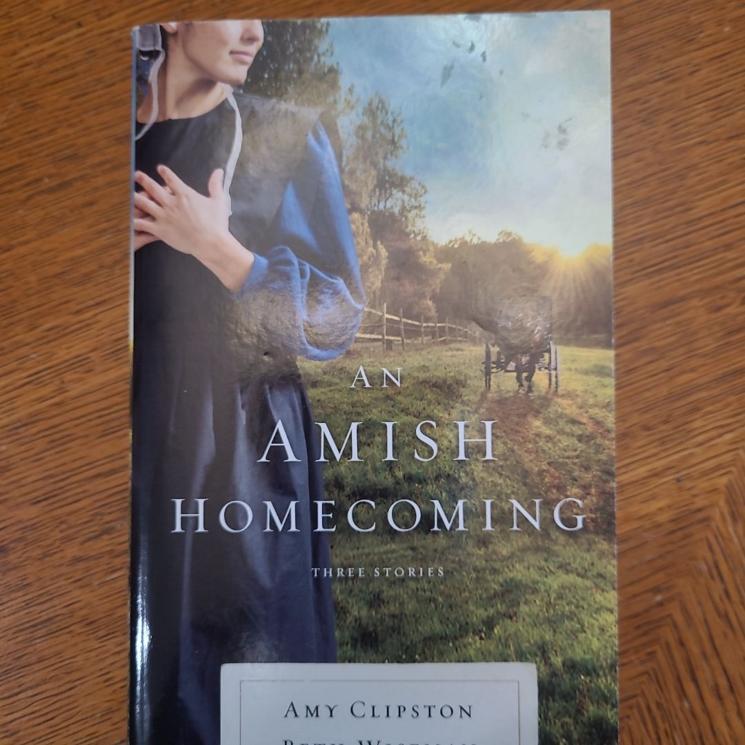An Amish Homecoming