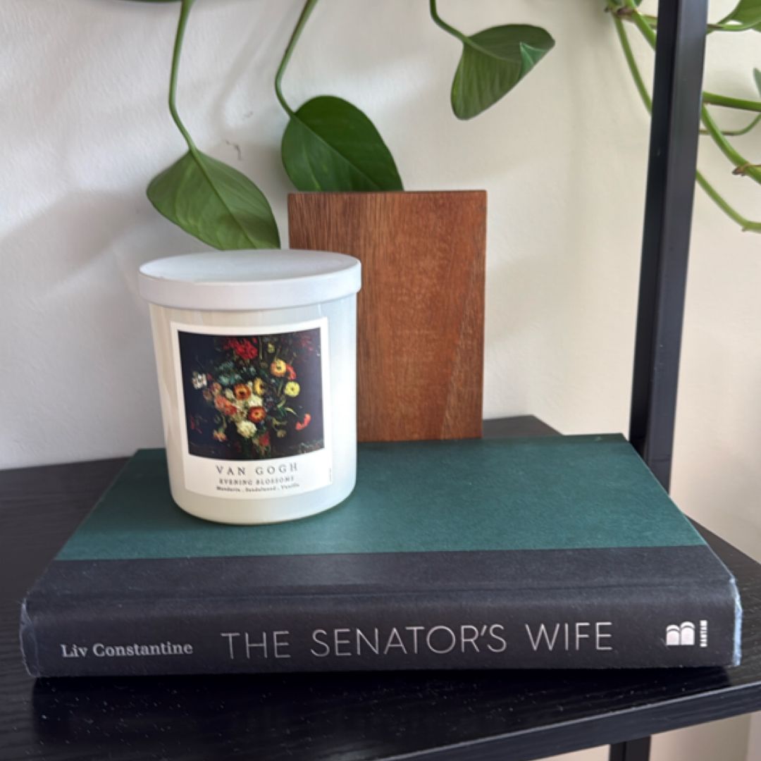 The Senator's Wife