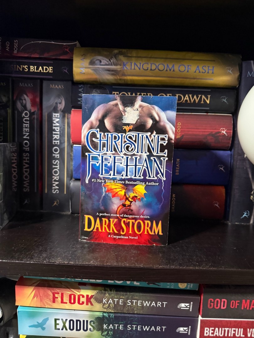 Dark Storm