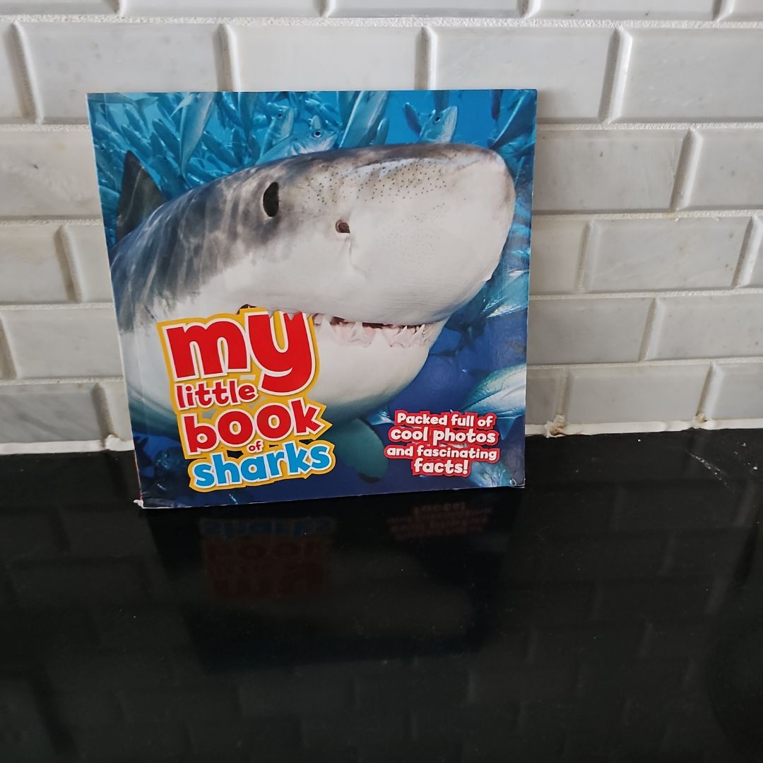 My Little Book of Sharks
