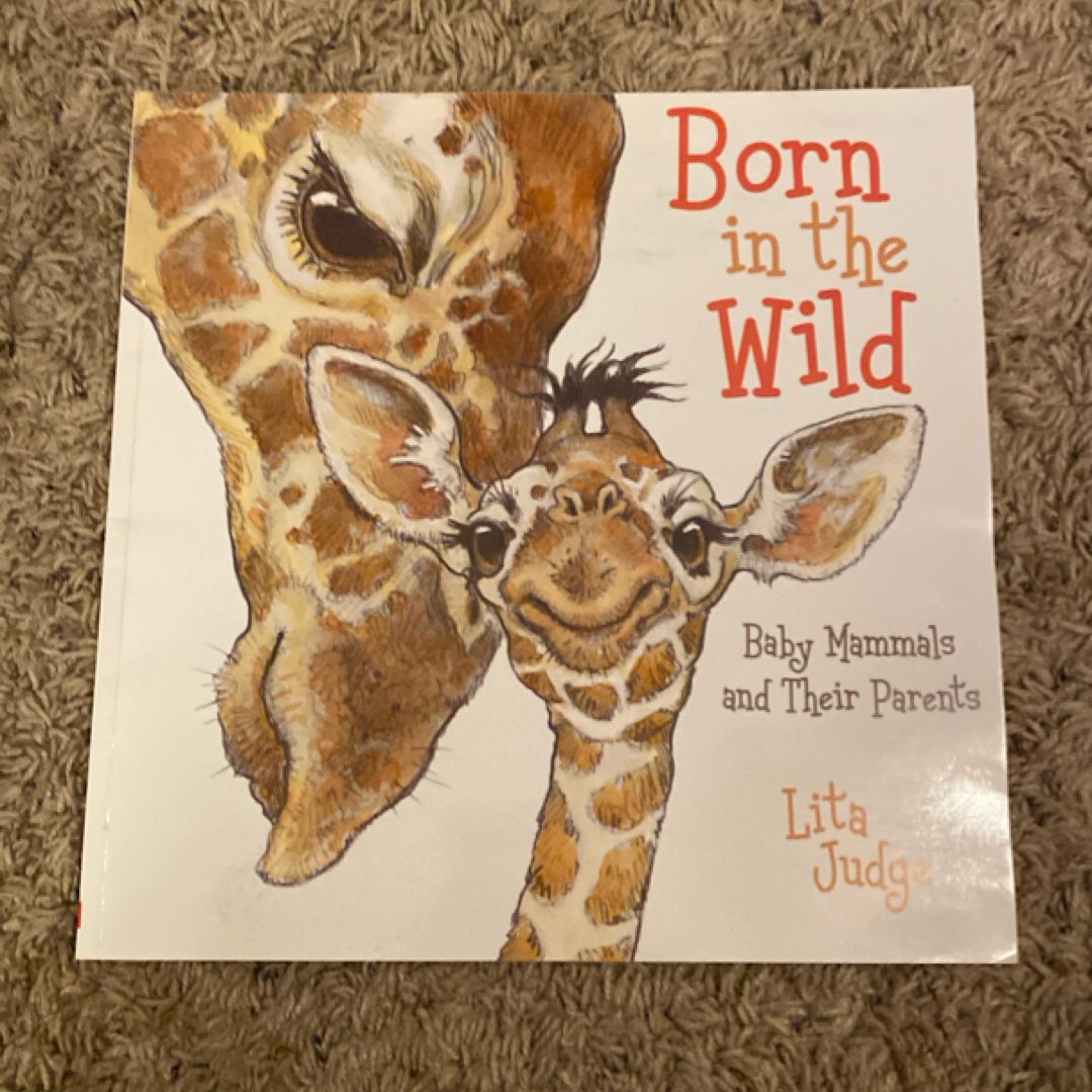 Born in the Wild Baby Mammals and Their Parents