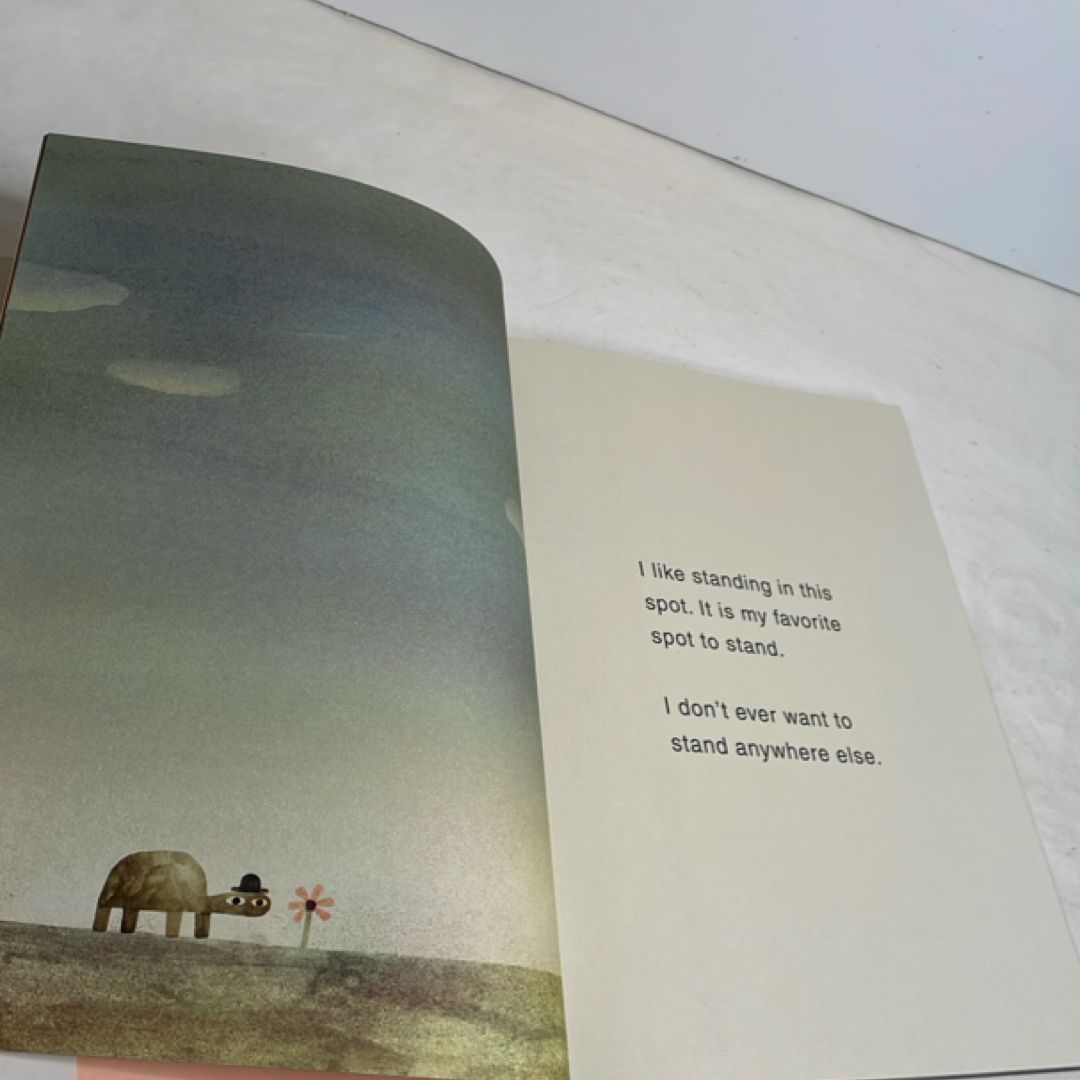 The Rock from the Sky