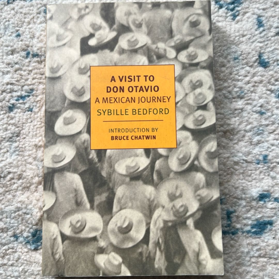 A Visit to Don Otavio