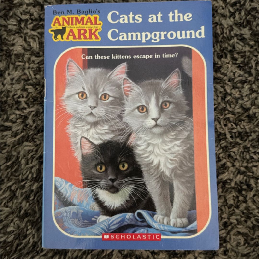 Cats at the Campground