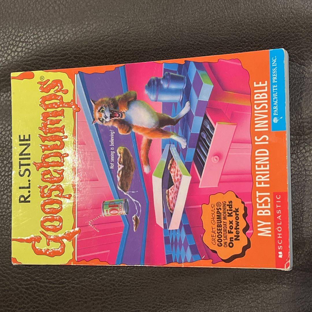 My Best Friend Is Invisible