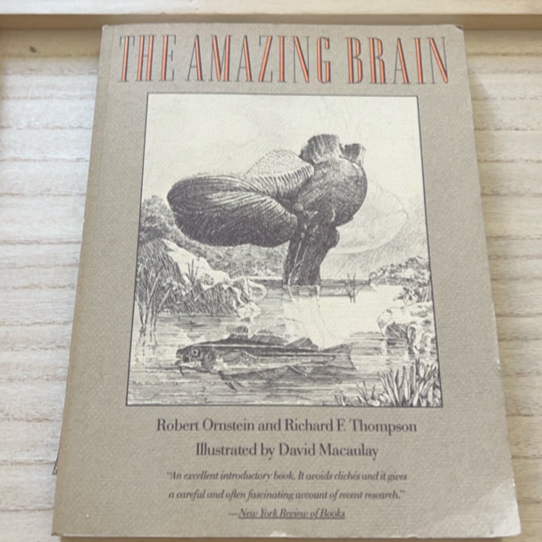 The Amazing Brain