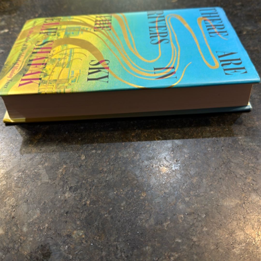 There Are Rivers in the Sky by Elif Shafak, | PangoBooks