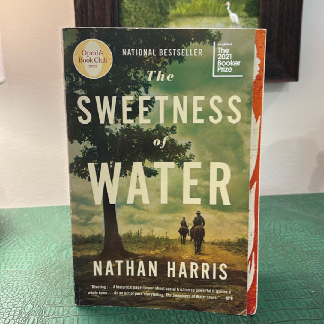 The Sweetness of Water (Oprah's Book Club)