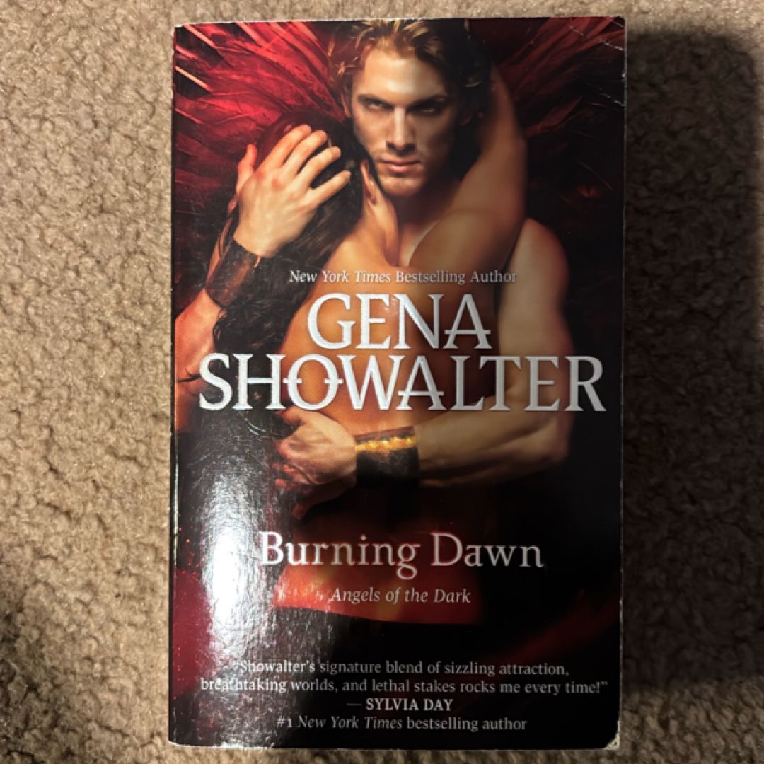 Burning Dawn