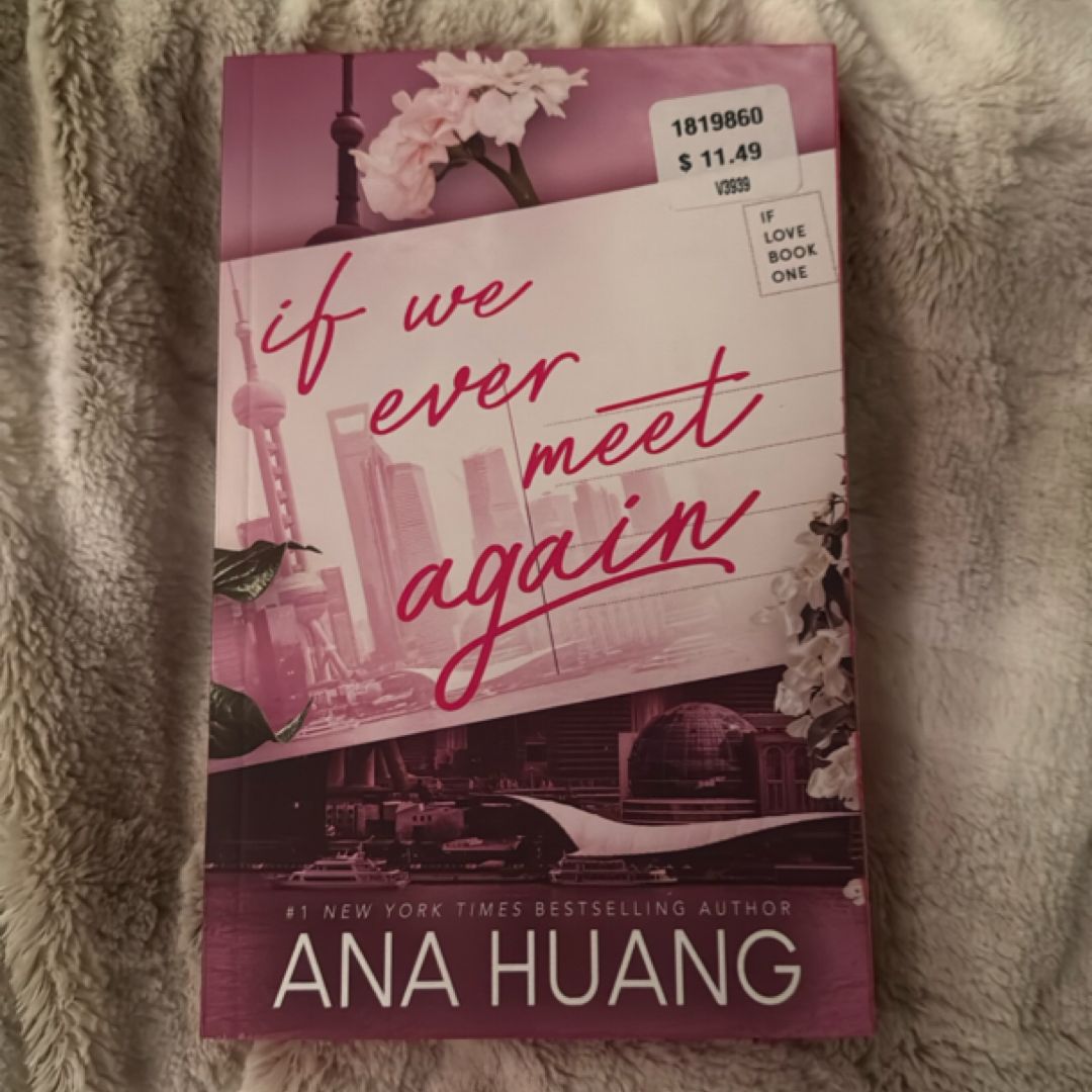 If We Ever Meet Again