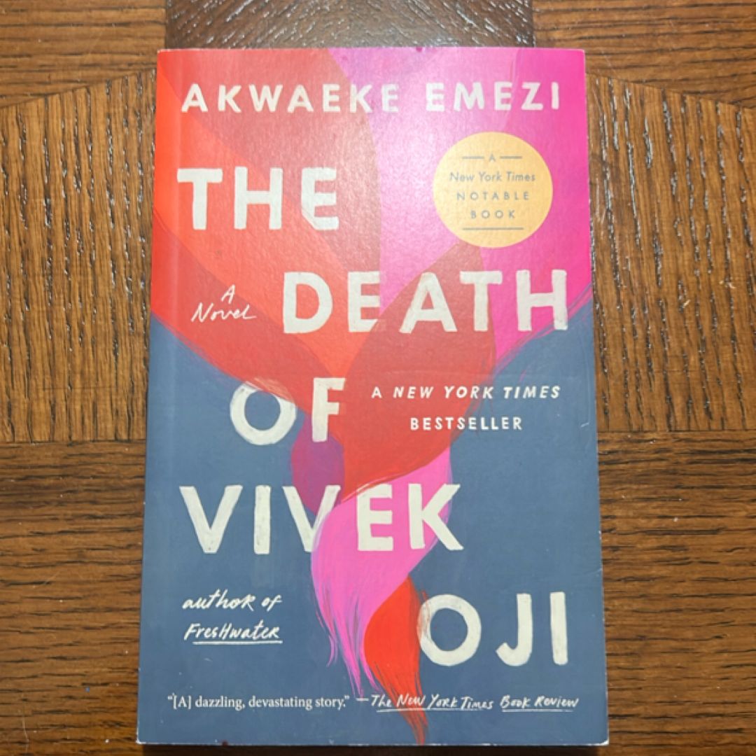 The Death of Vivek Oji