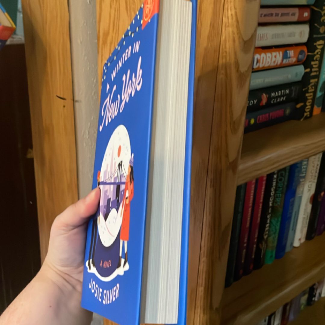 A Winter in New York