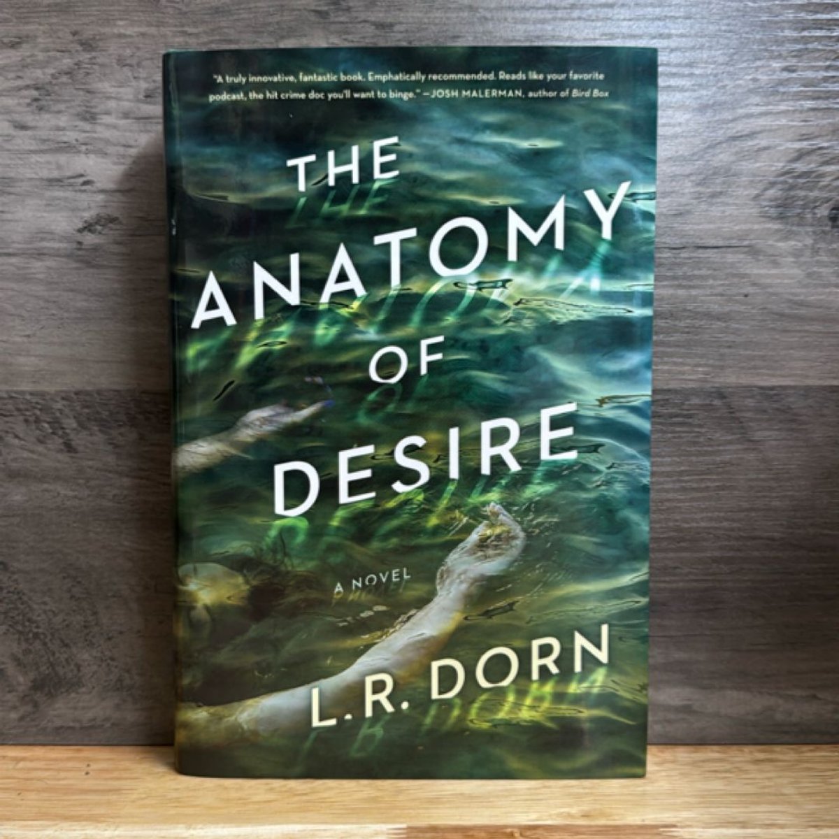 The Anatomy of Desire by L. R. Dorn