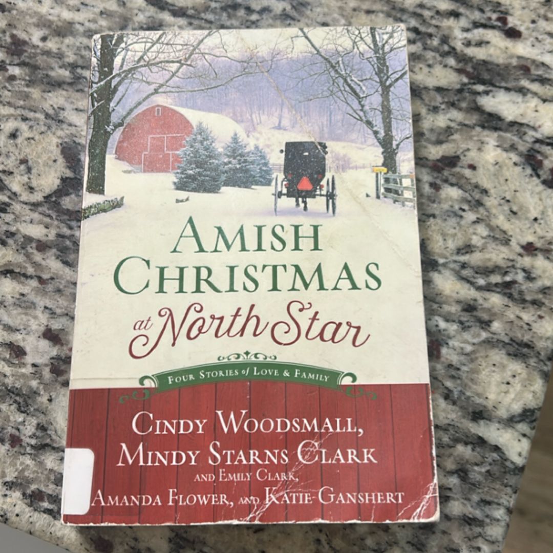 Amish Christmas at North Star
