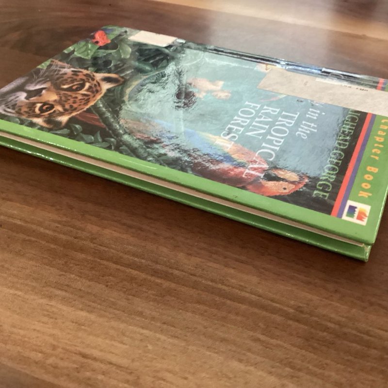 One Day in the Tropical Rain Forest