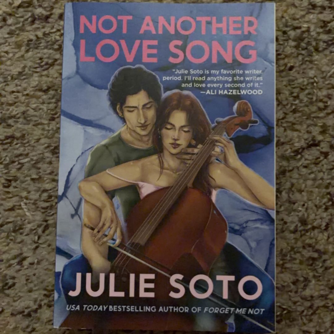 Not Another Love Song