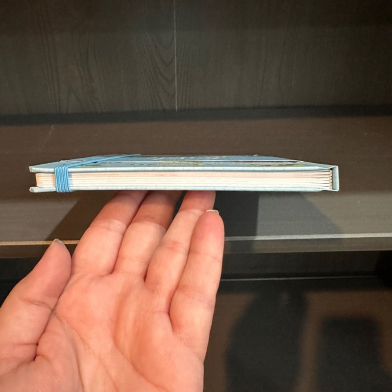 Usborne Travel Journal