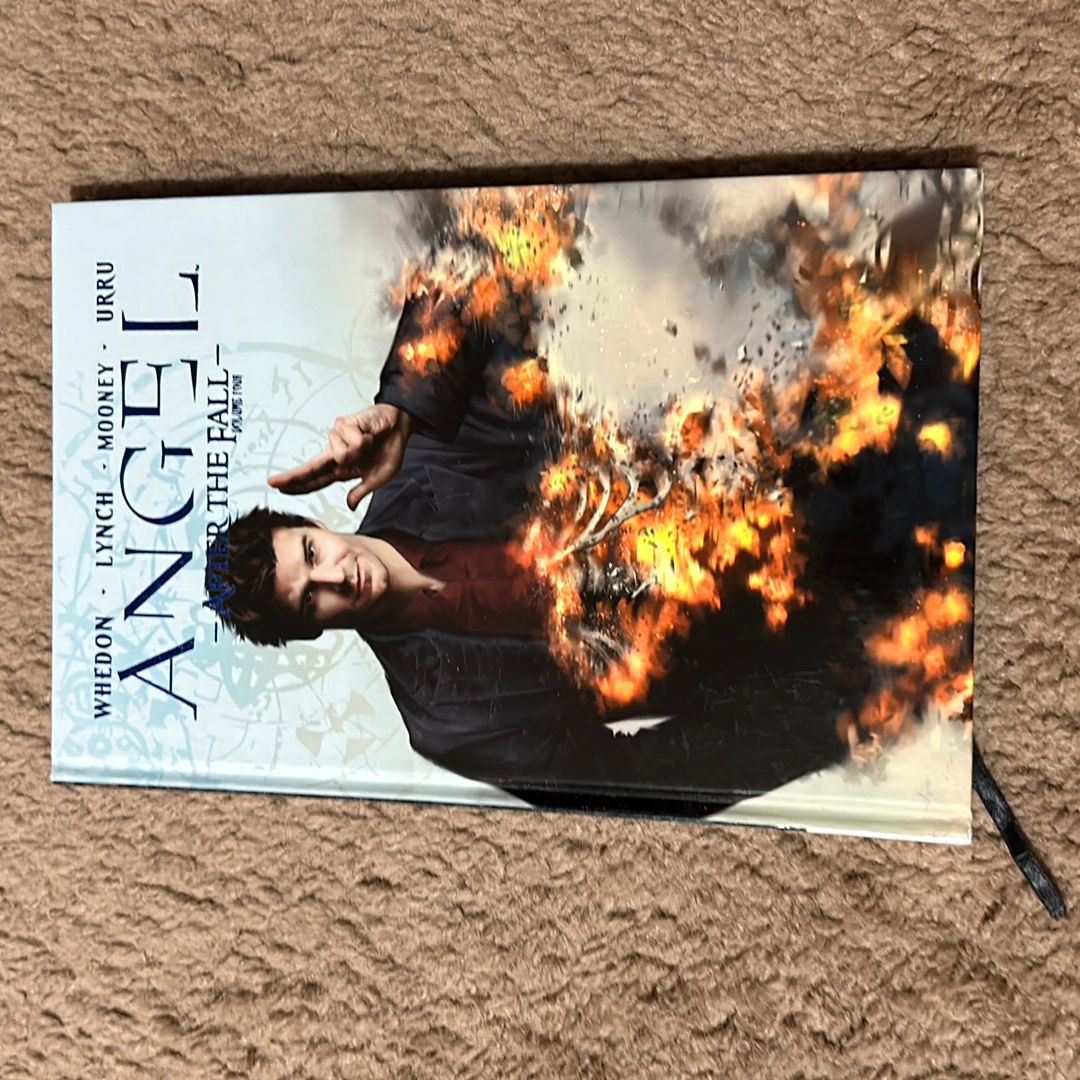 Angel: after the Fall, Vol. 4