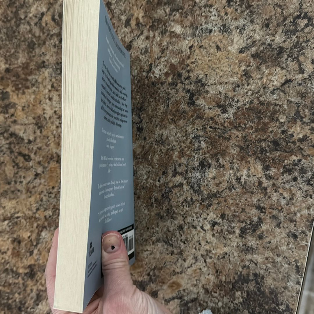 Mother's Milk: a Patrick Melrose Novel 4