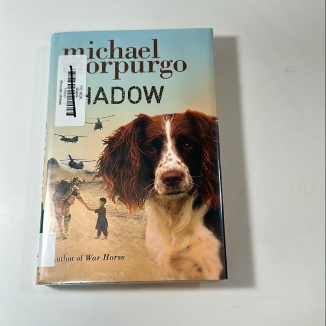 Shadow