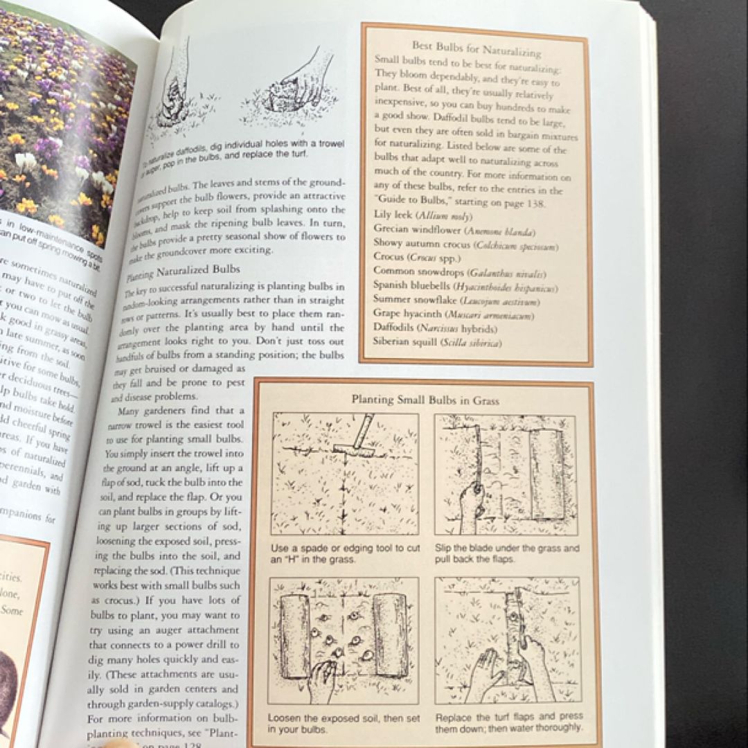 Rodale's Annuals and Bulbs