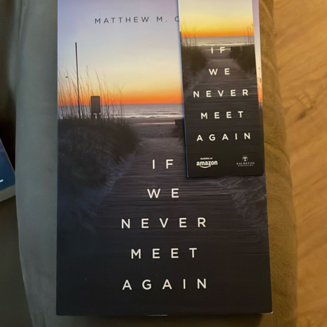 If We Never Meet Again