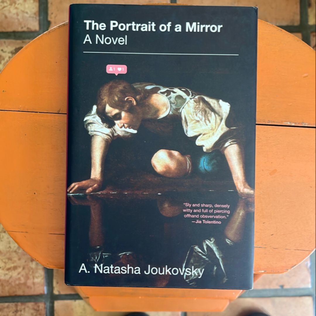 The Portrait of a Mirror