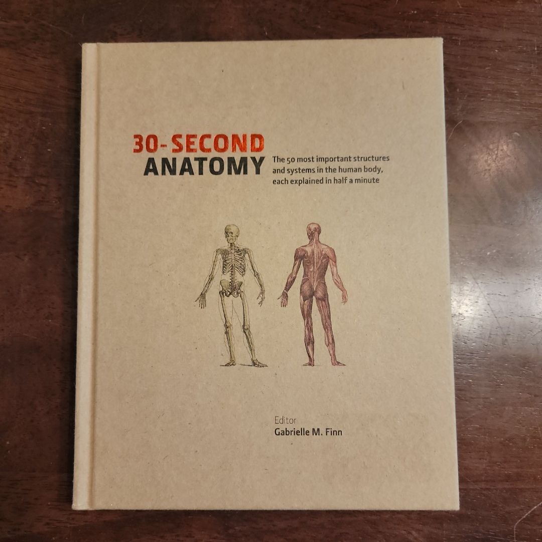 30-Second Anatomy