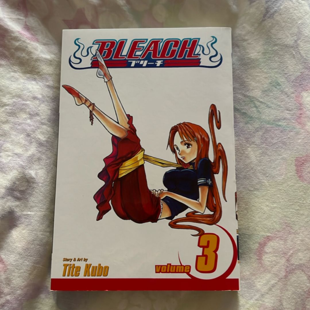 Bleach, Vol. 3
