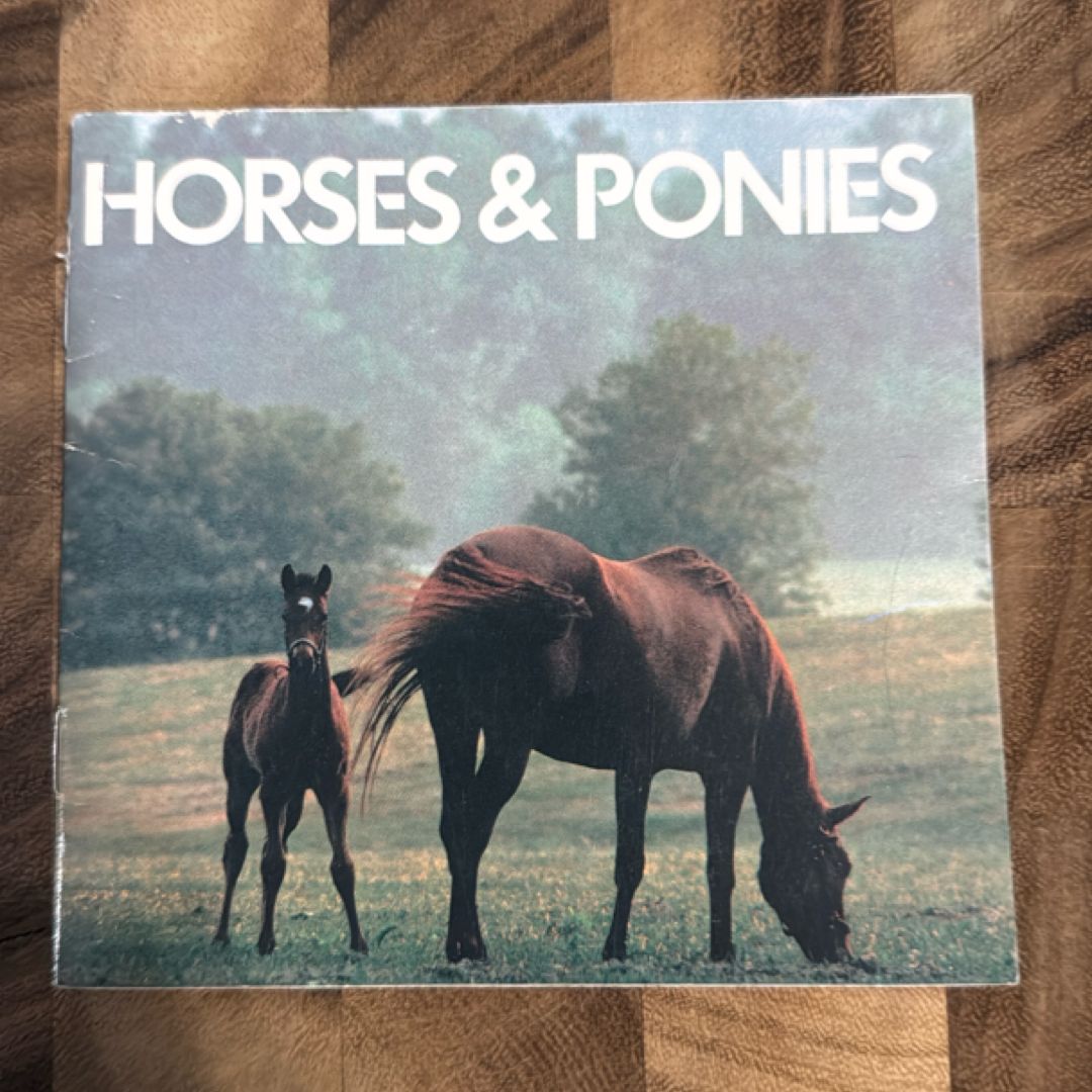 Horses & ponies: An animal information book