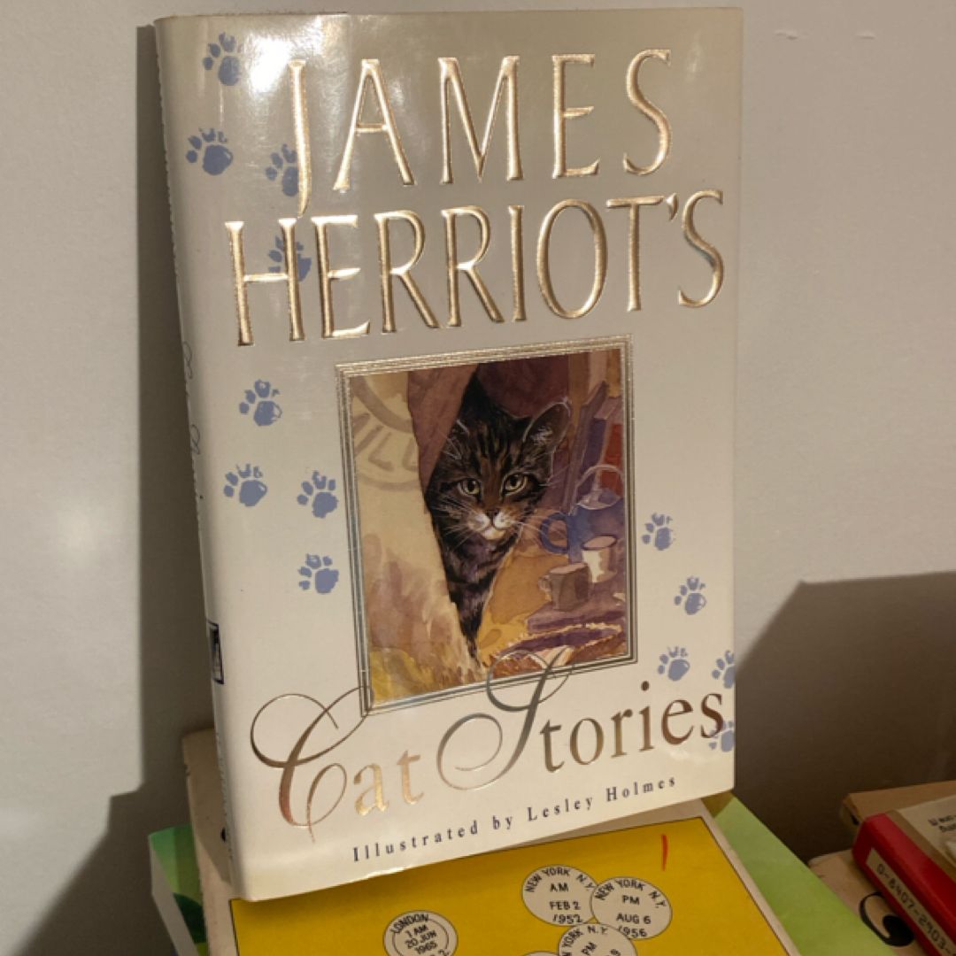 Cat Stories