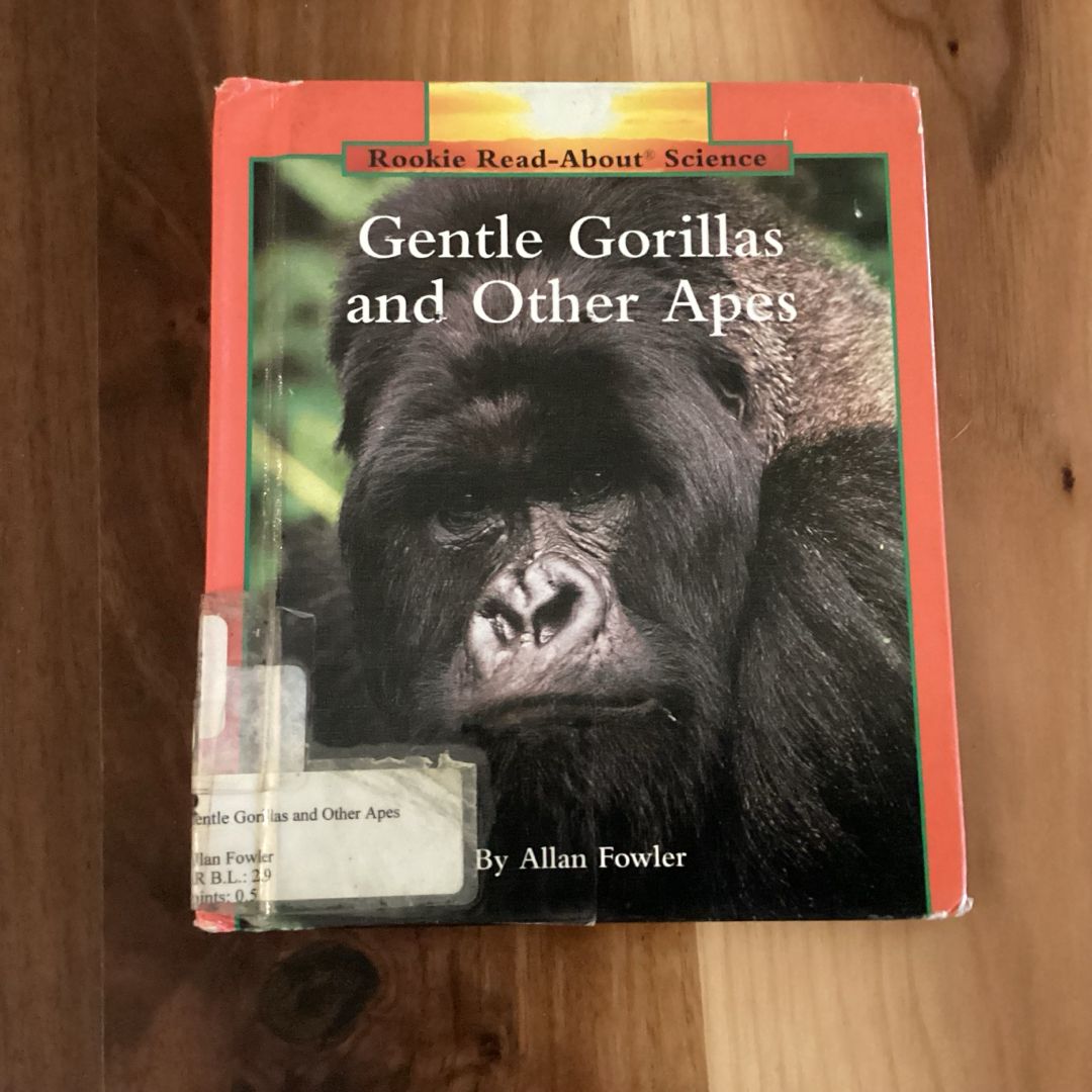 Gentle Gorillas and Other Apes