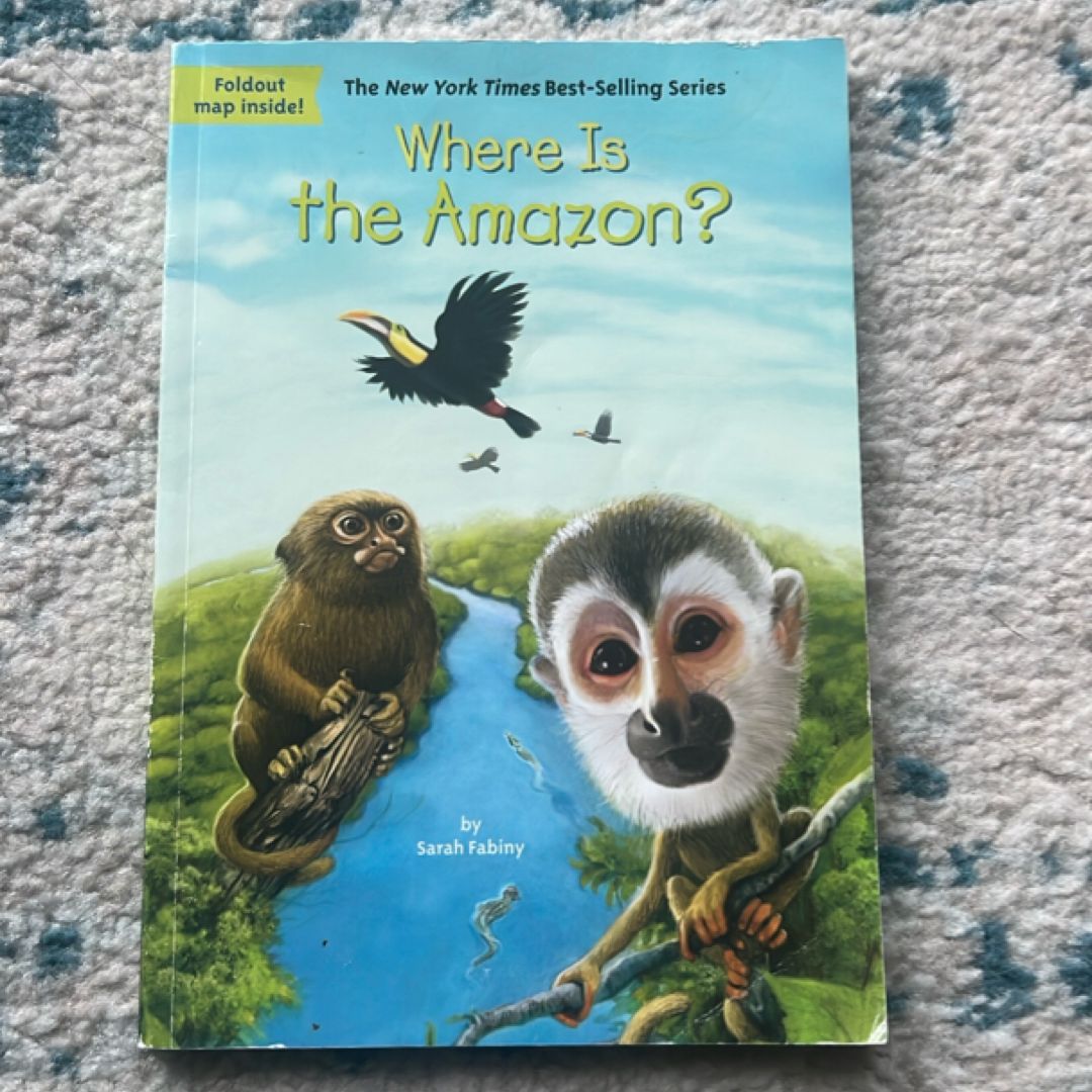Where Is the Amazon?